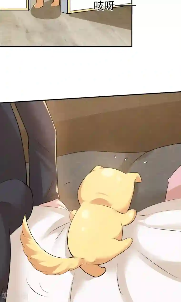 心动驸马千千岁第15话 救苦救难美人鱼