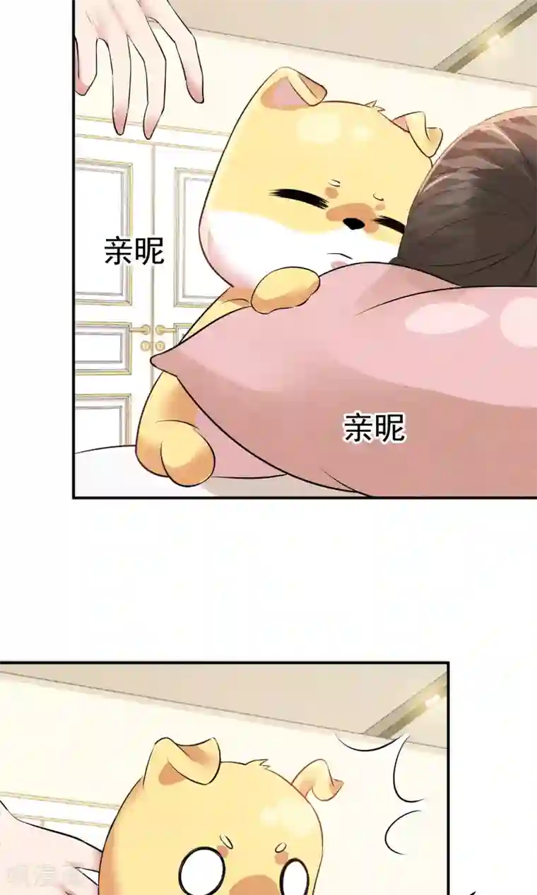 心动驸马千千岁第15话 救苦救难美人鱼