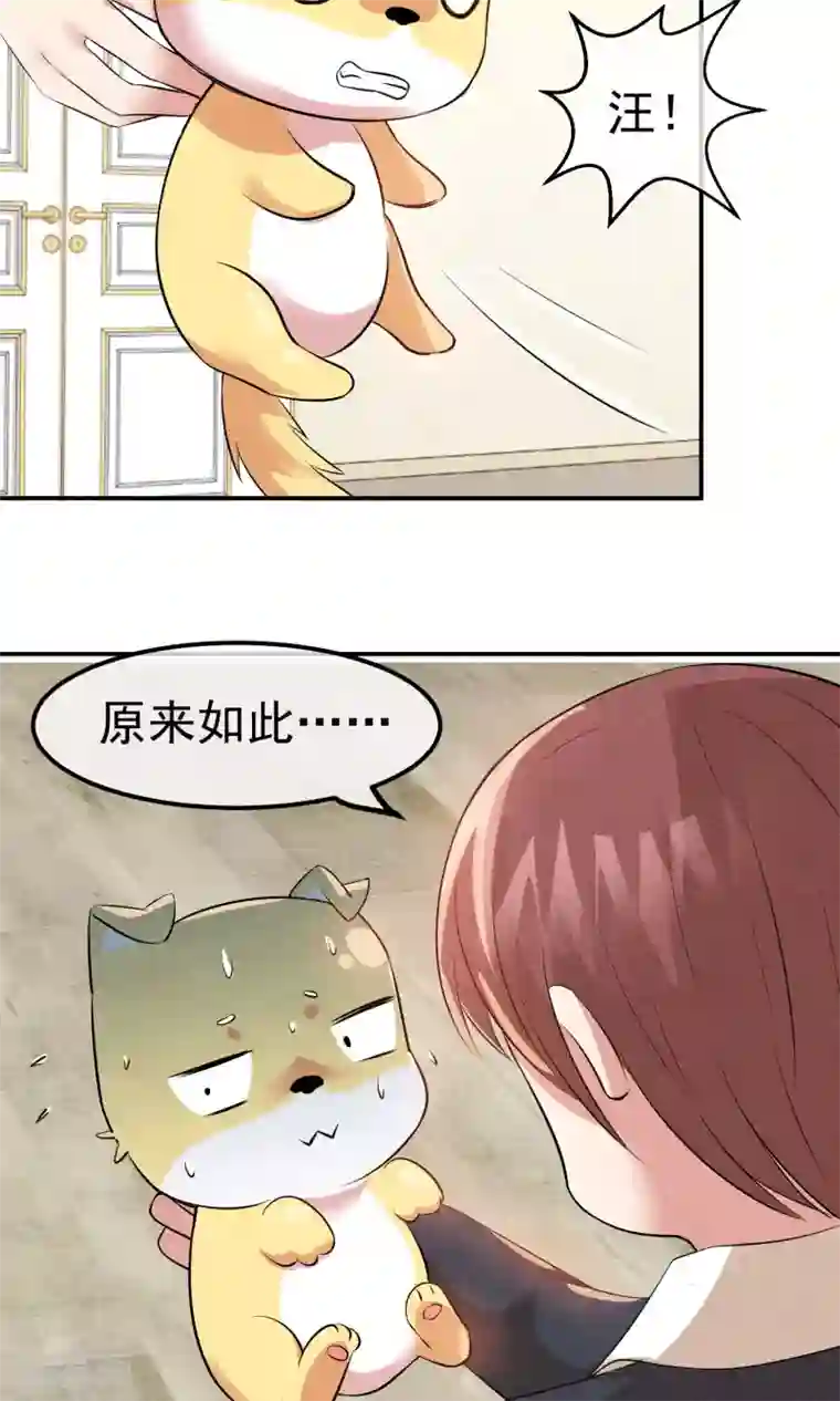 心动驸马千千岁第15话 救苦救难美人鱼