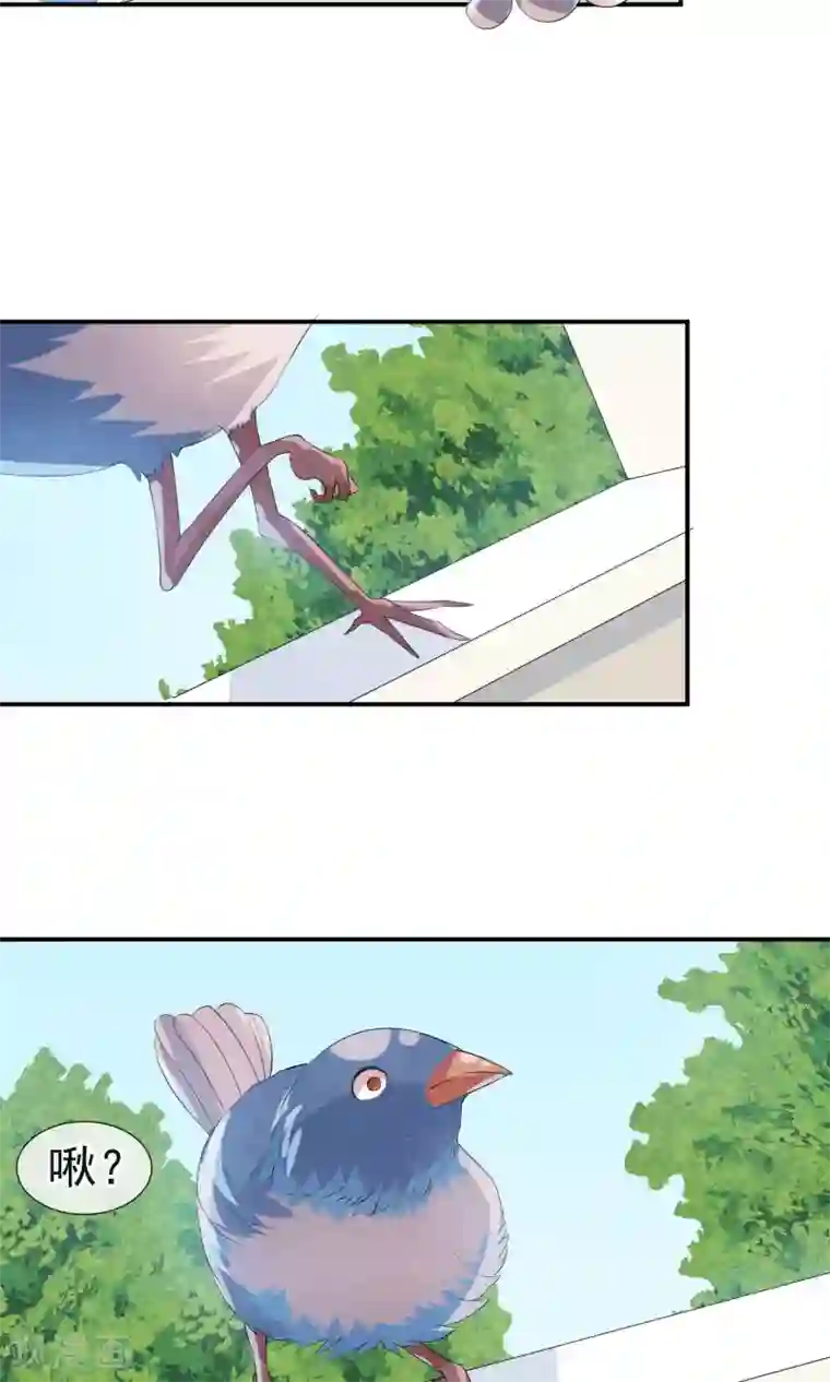 心动驸马千千岁第17话 就饶你最后一次