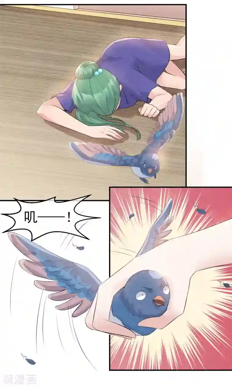 心动驸马千千岁第25话 突击的蓝色飞鸟