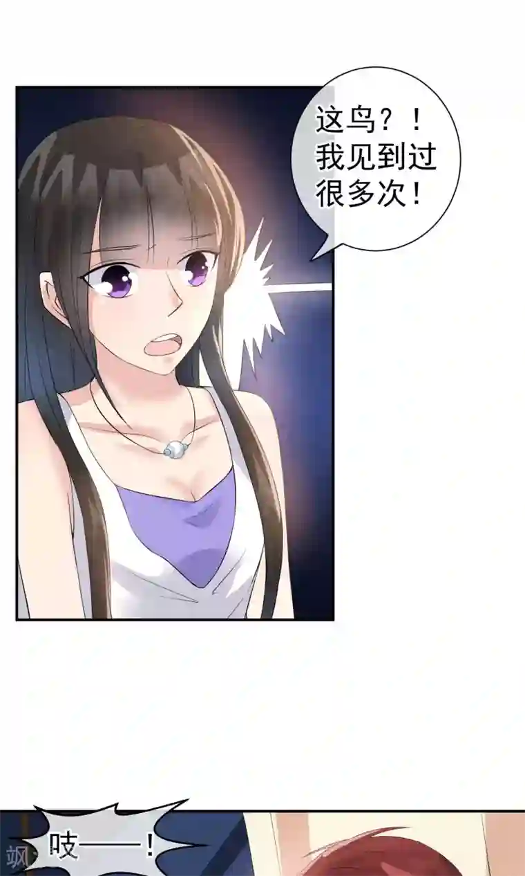 心动驸马千千岁第25话 突击的蓝色飞鸟