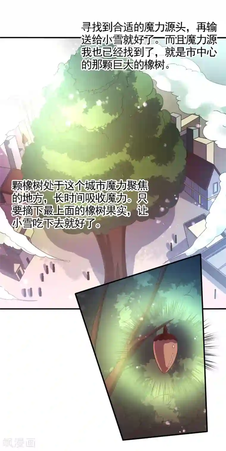 幸运结界第49话 神橡树