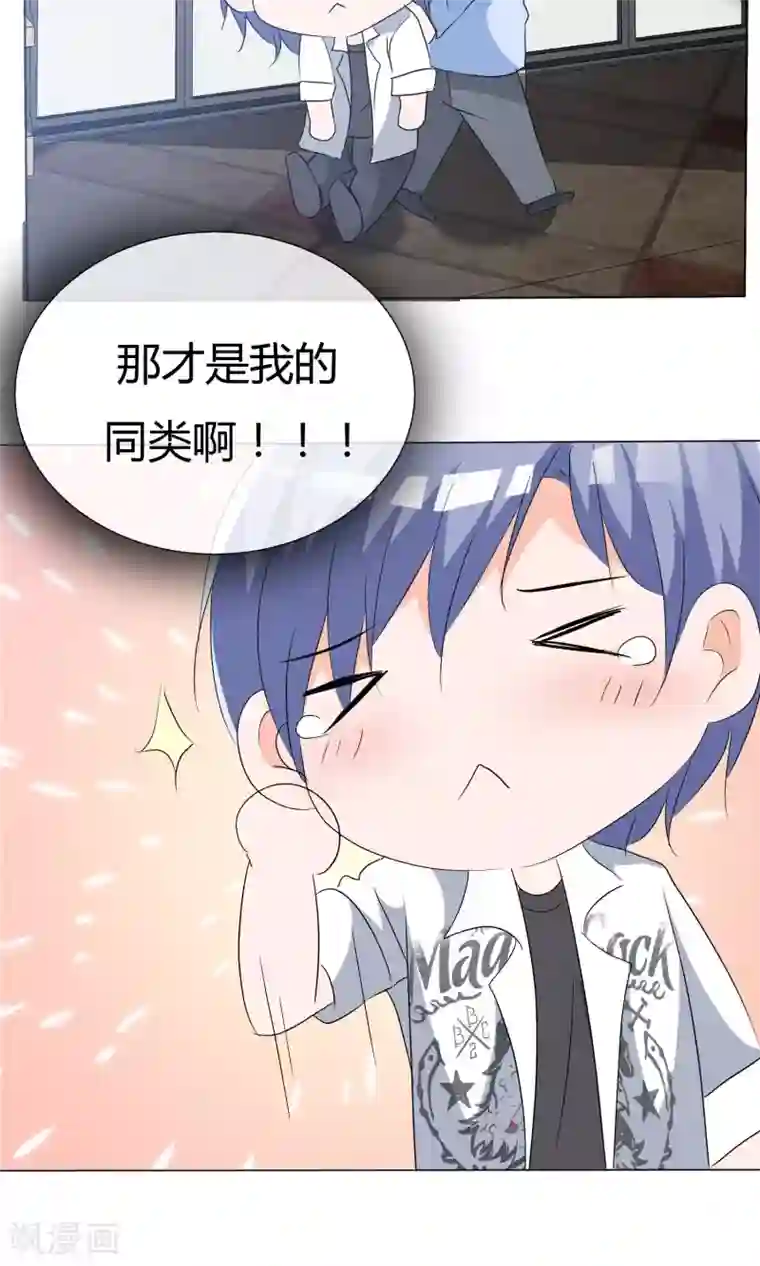 今天开始做男神第45话 公司招新