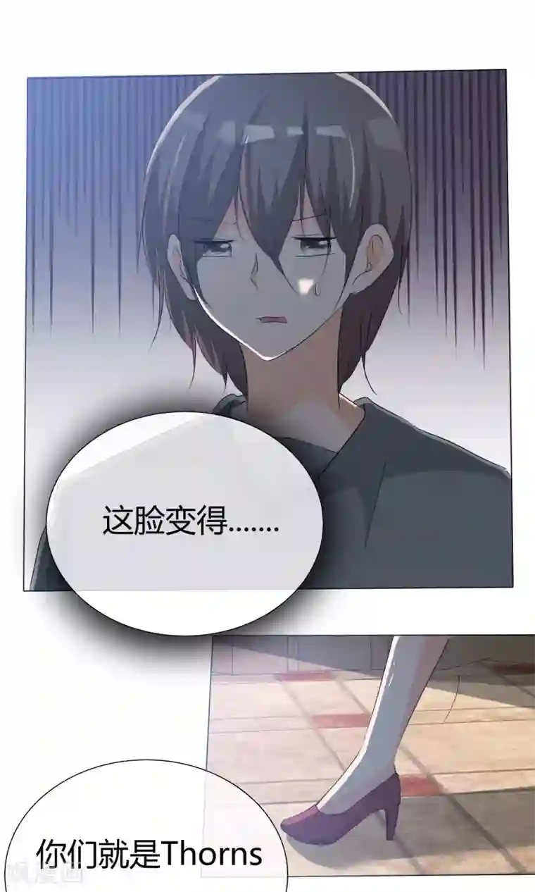 今天开始做男神第45话 公司招新