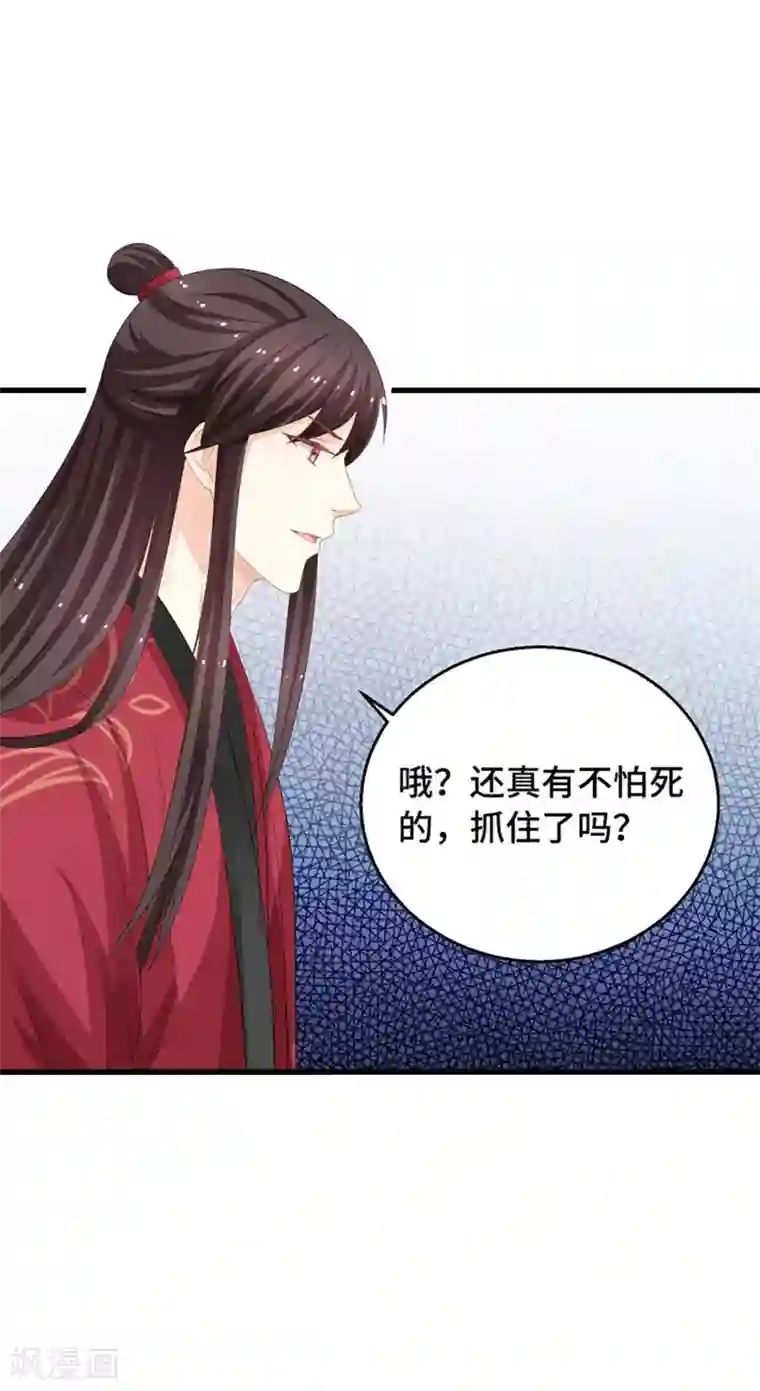 快穿之炮灰女配自救指南第11话 绝情绝爱
