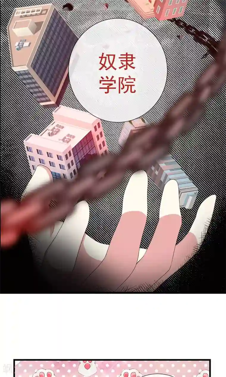 奴隶学院第31话 战略同盟达成，卓峰又该怎么处理？