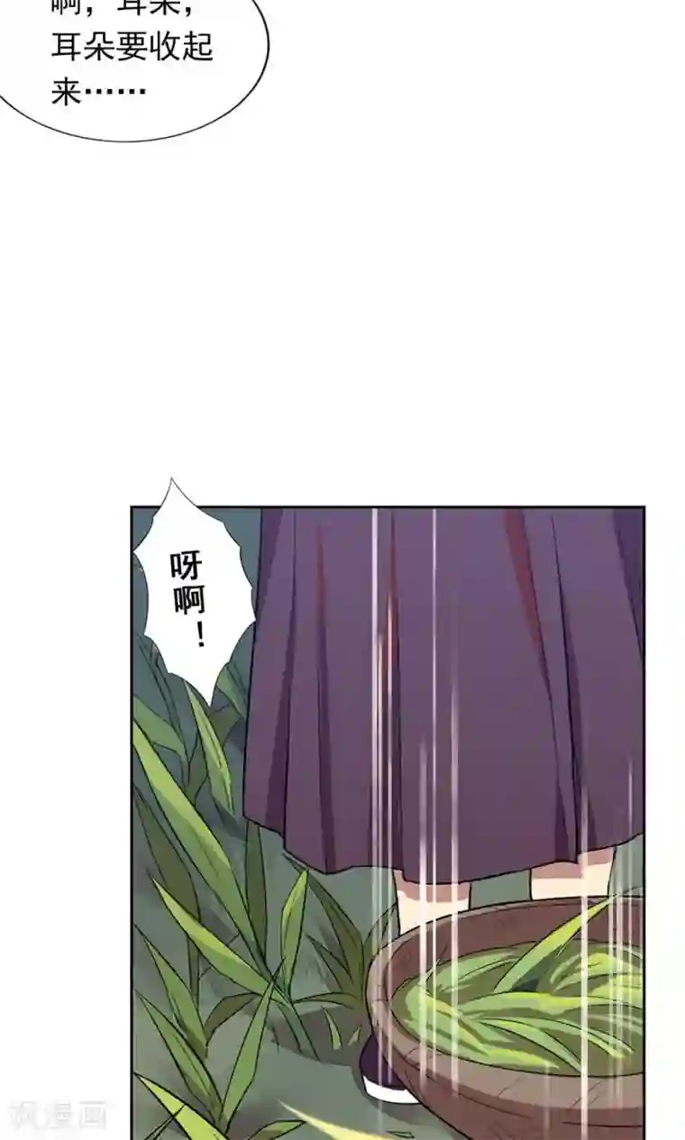 凤归第1话 我决定成为人类