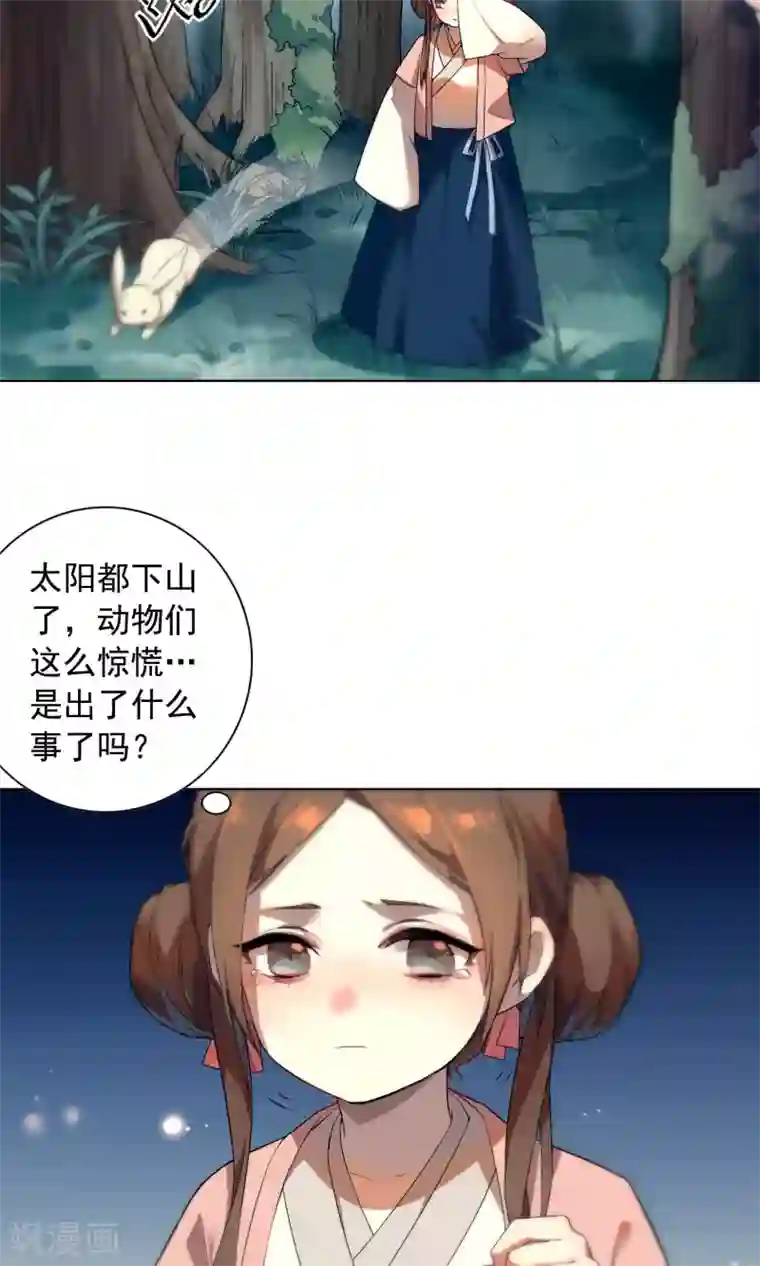 凤归第20话 已经回不去了