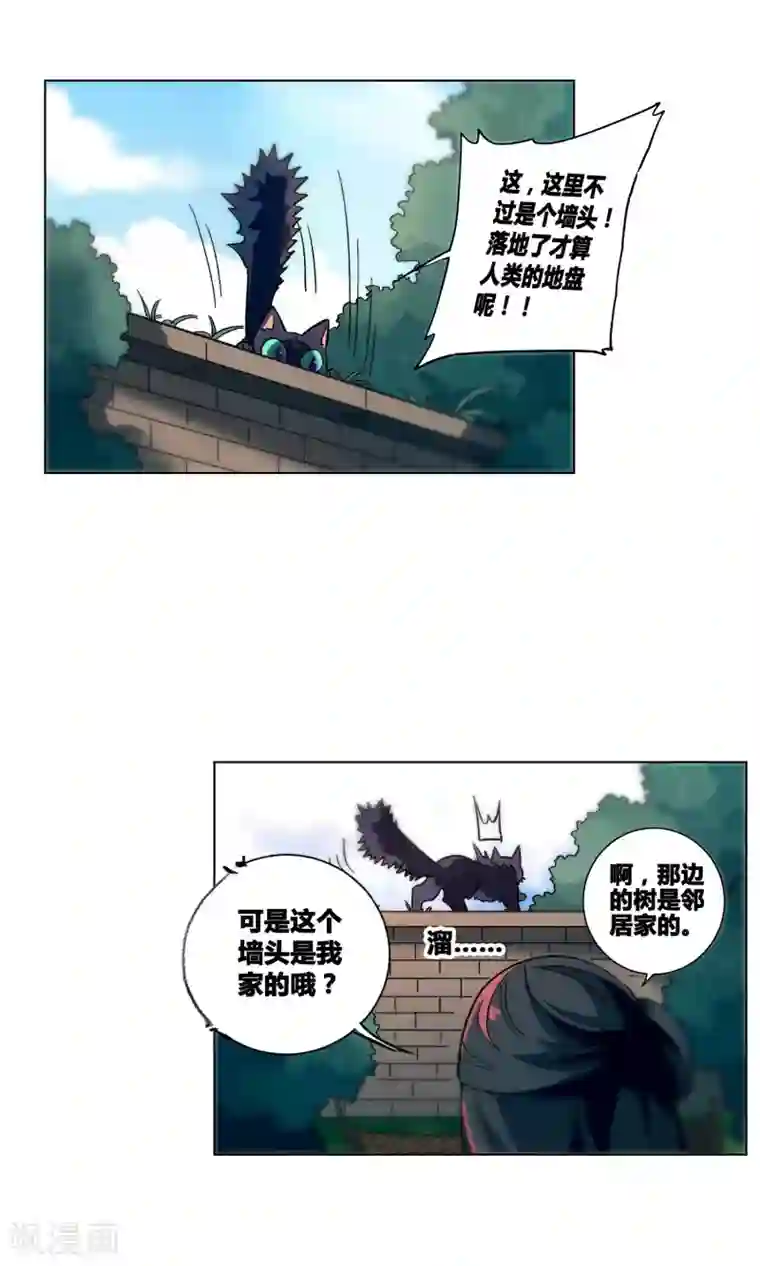 凤归第35话 来自金华猫的嫉妒