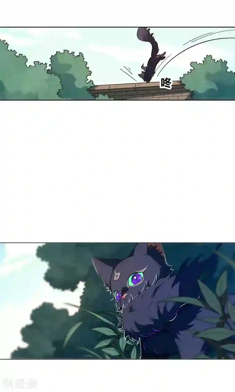 凤归第35话 来自金华猫的嫉妒