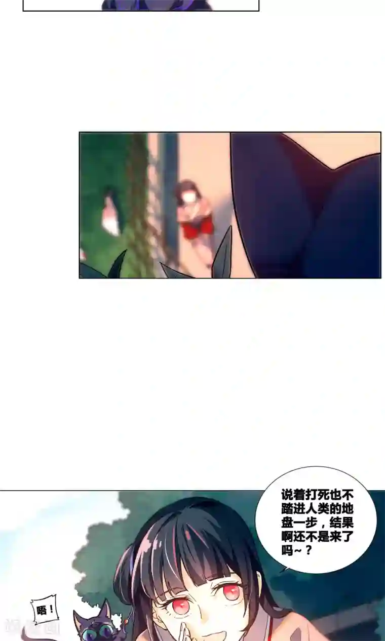 凤归第35话 来自金华猫的嫉妒