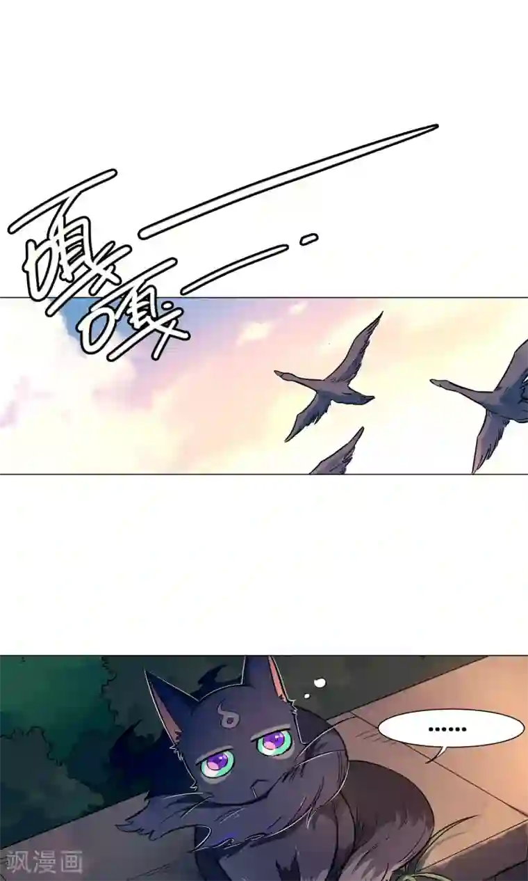 凤归第41话 可以的报复