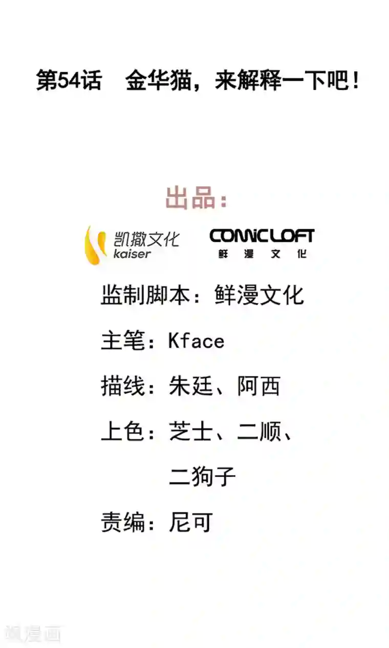 凤归第54话 金华猫，来解释一下吧！
