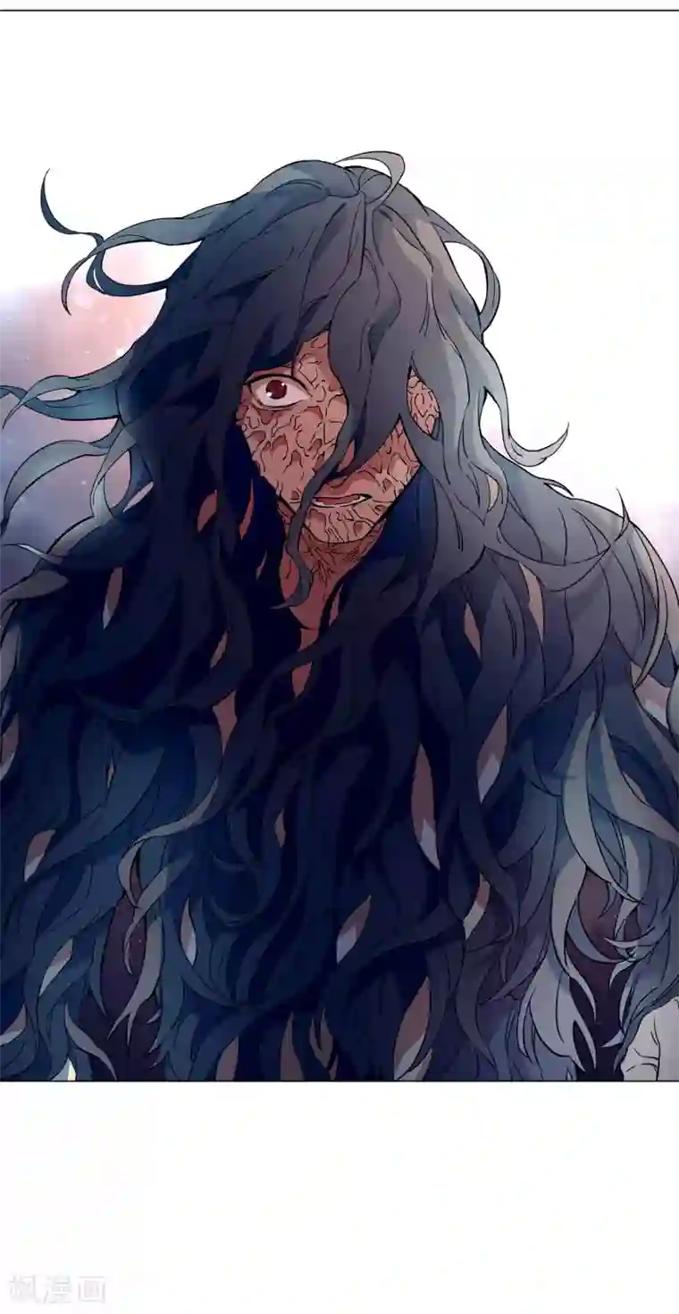 凤归第54话 金华猫，来解释一下吧！