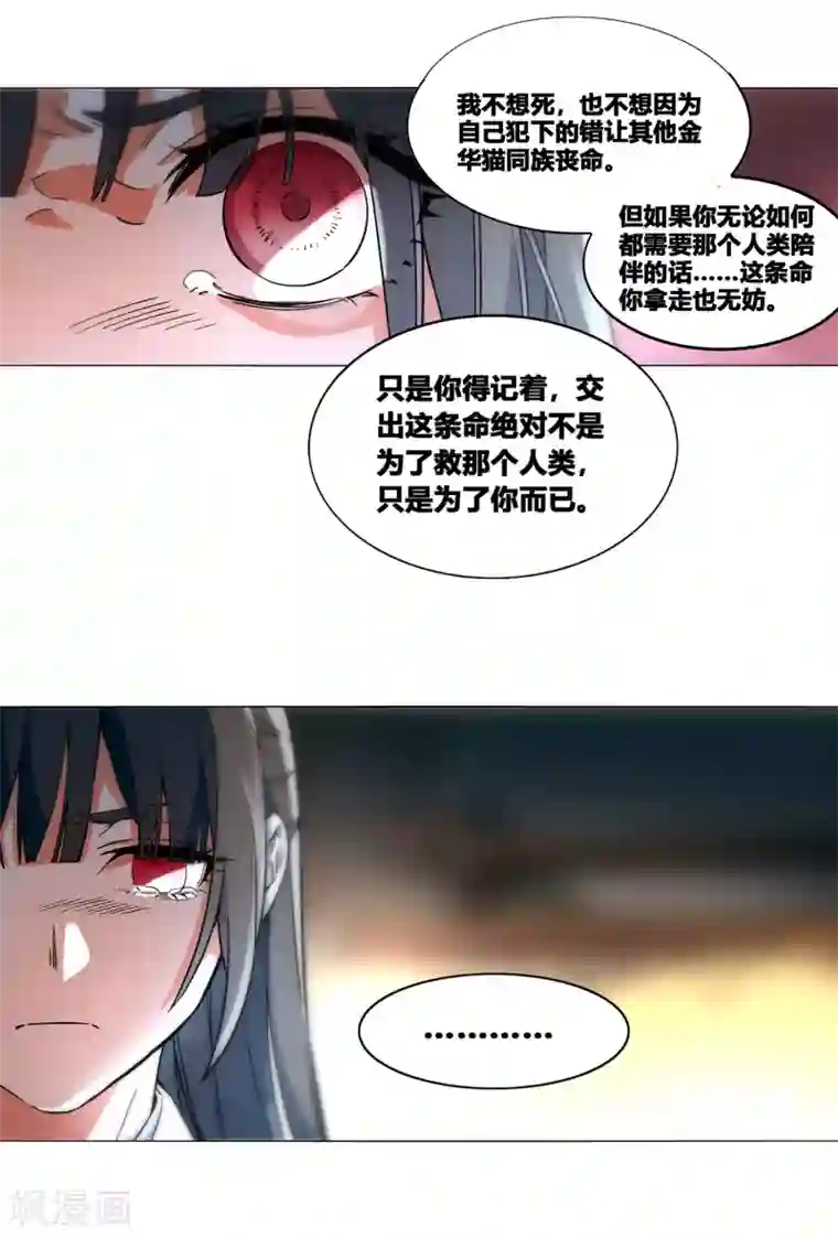 凤归第56话 再无瓜葛