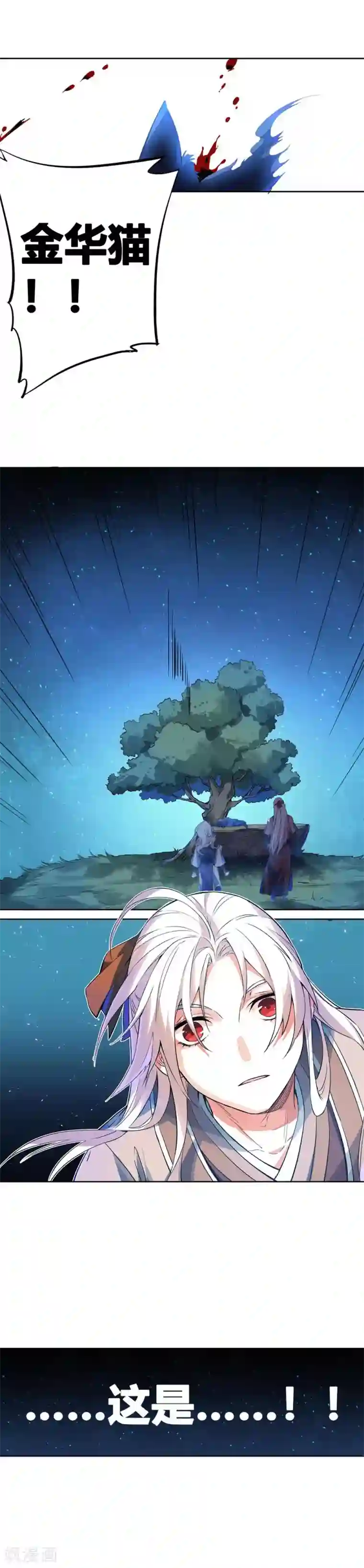 凤归第58话 金华猫死了？