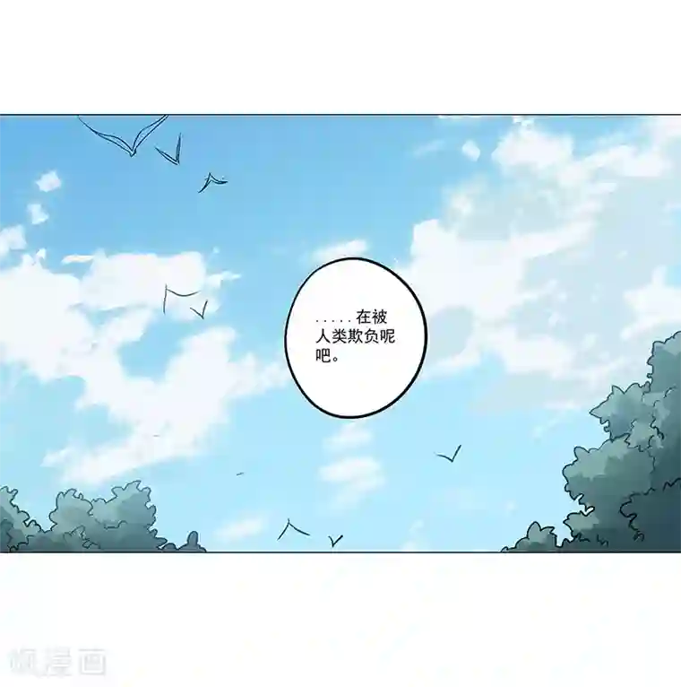 凤归第68话 大吉之兆？
