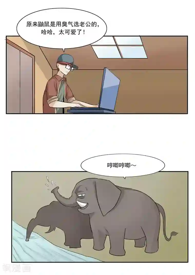李泰和方小甜的平行世界第44话 动物世界
