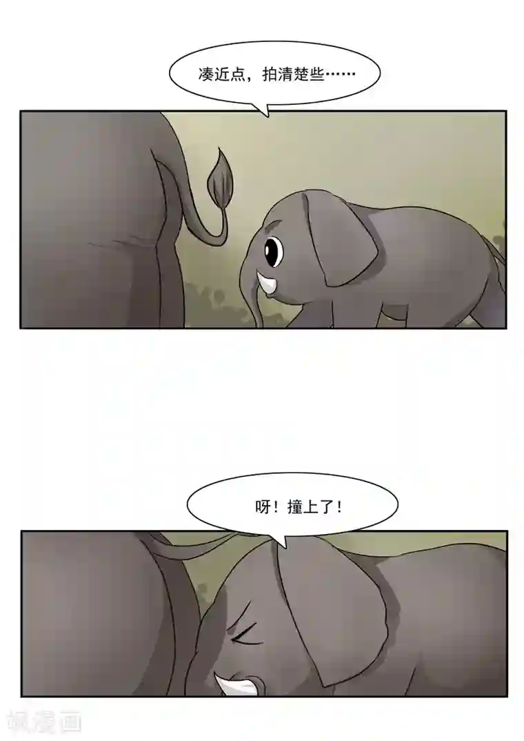 李泰和方小甜的平行世界第44话 动物世界