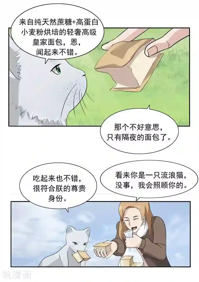 李泰和方小甜的平行世界第51话 生命之光