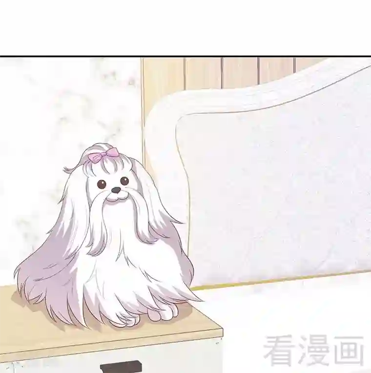 男神萌宝一锅端第59话 重逢