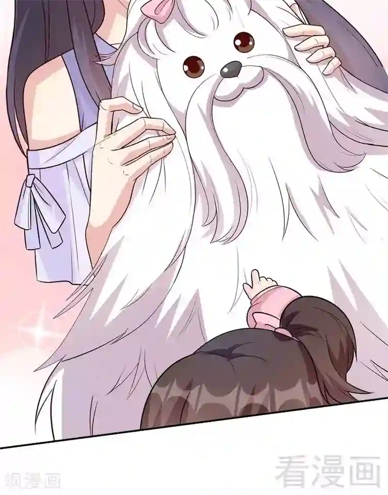 男神萌宝一锅端第59话 重逢