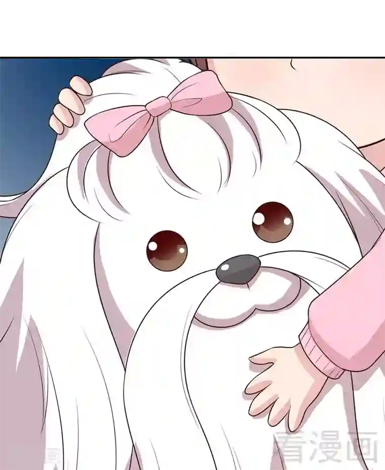 男神萌宝一锅端第59话 重逢