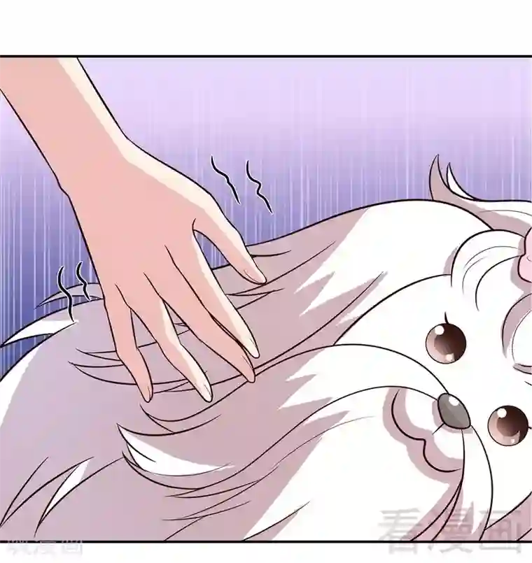 男神萌宝一锅端第60话 缘起当年