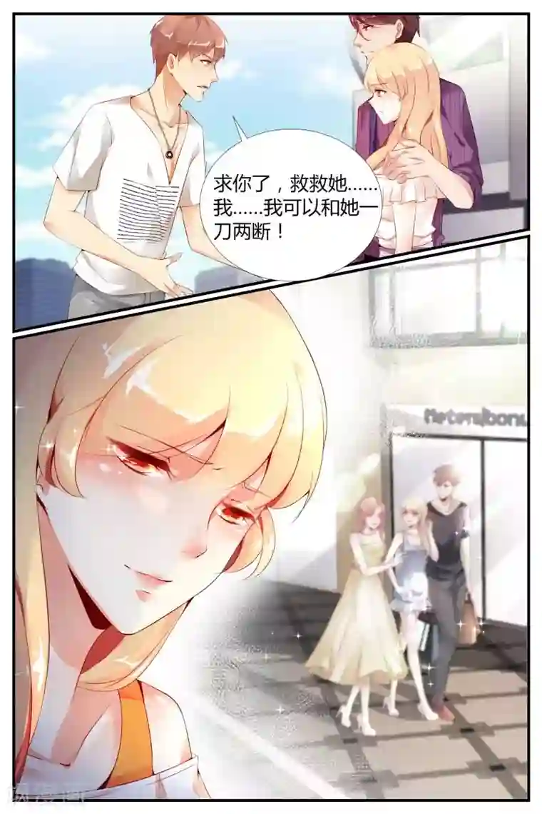 糖枫树的情书第3话