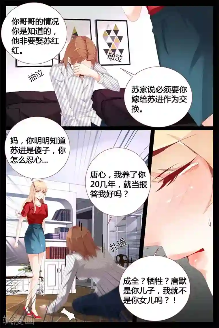 糖枫树的情书第4话