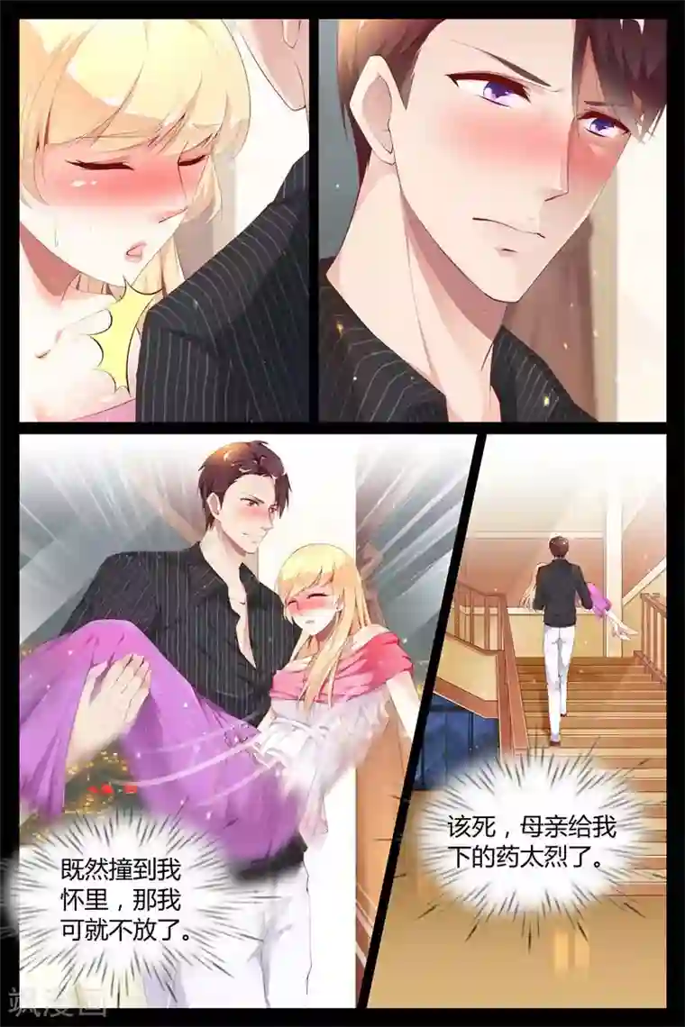 糖枫树的情书第5话