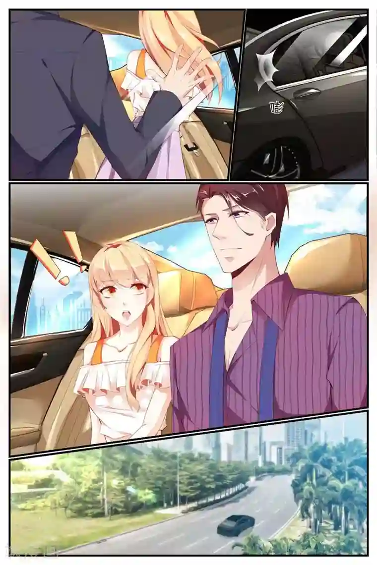 糖枫树的情书第7话