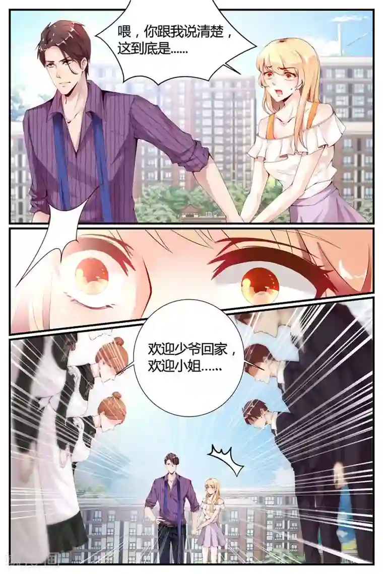 糖枫树的情书第8话