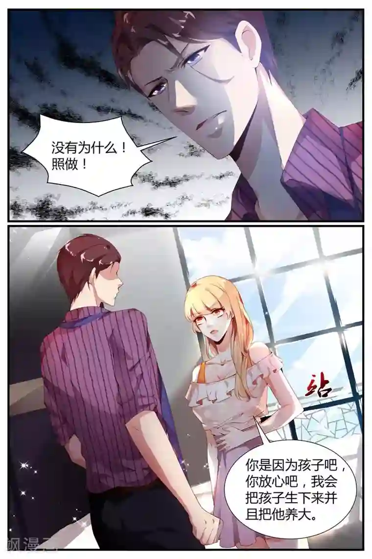 糖枫树的情书第8话