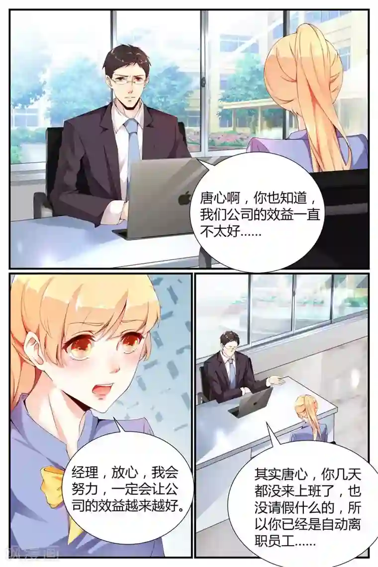 糖枫树的情书第10话