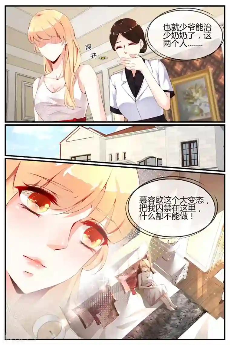 糖枫树的情书第14话