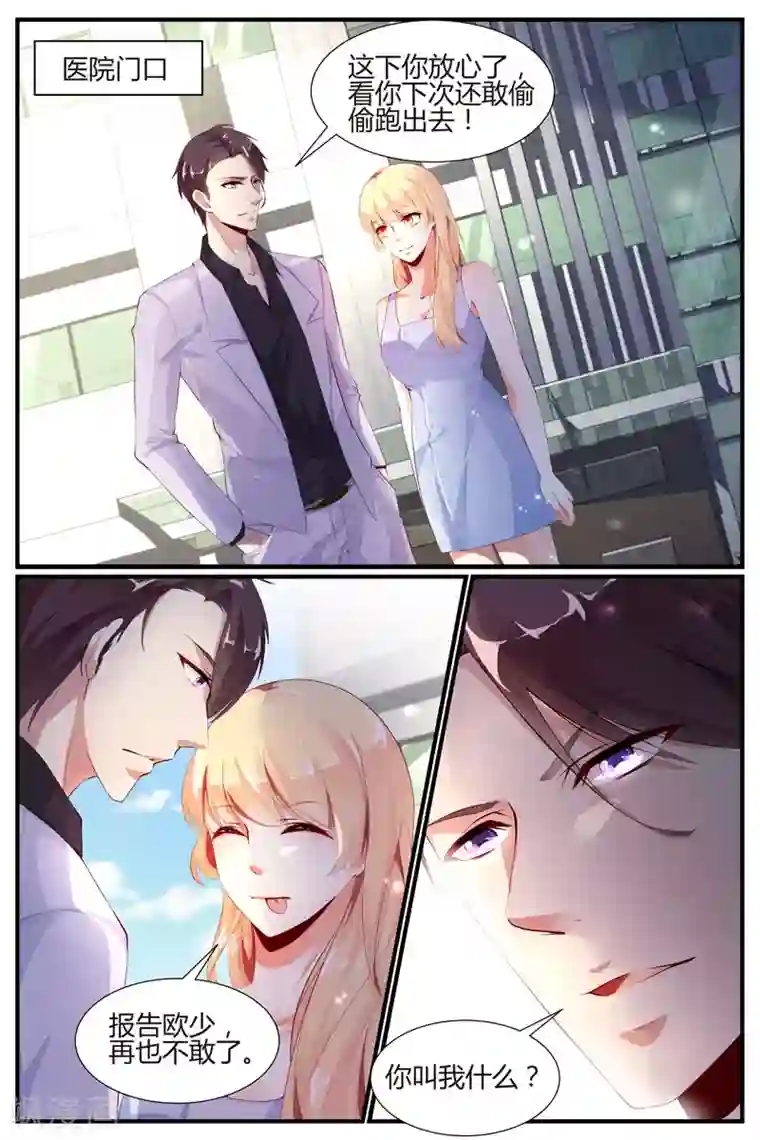 糖枫树的情书第15话