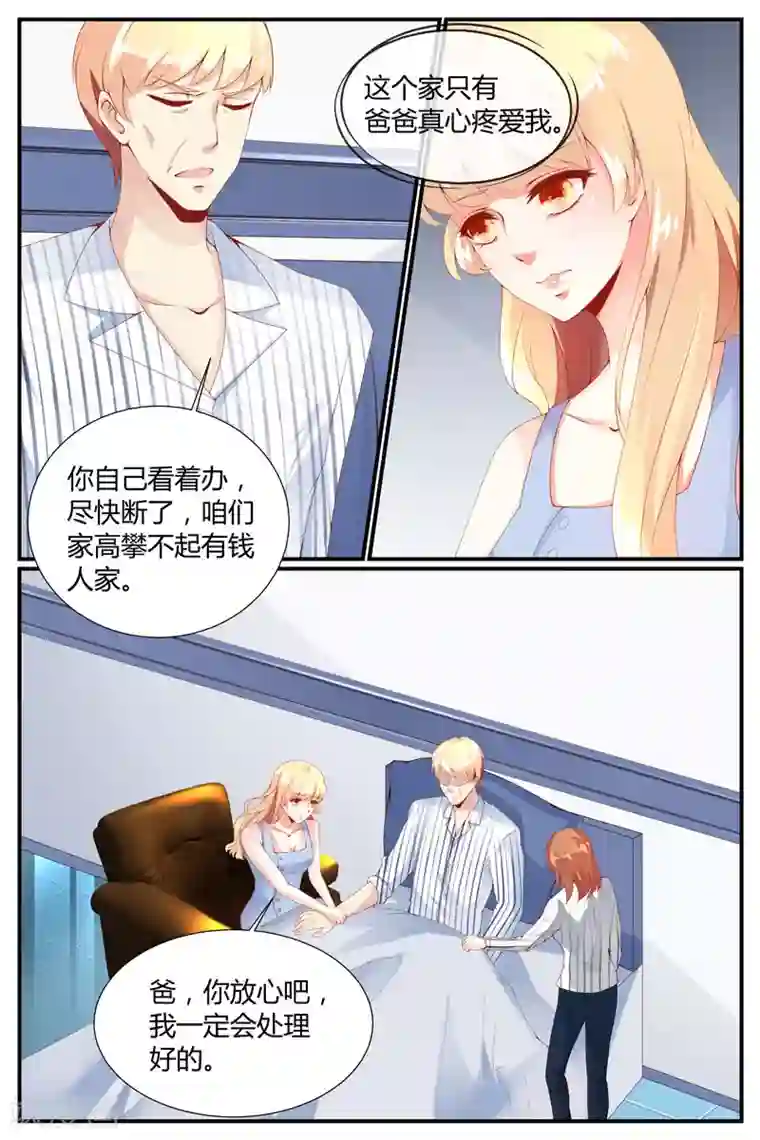 糖枫树的情书第23话