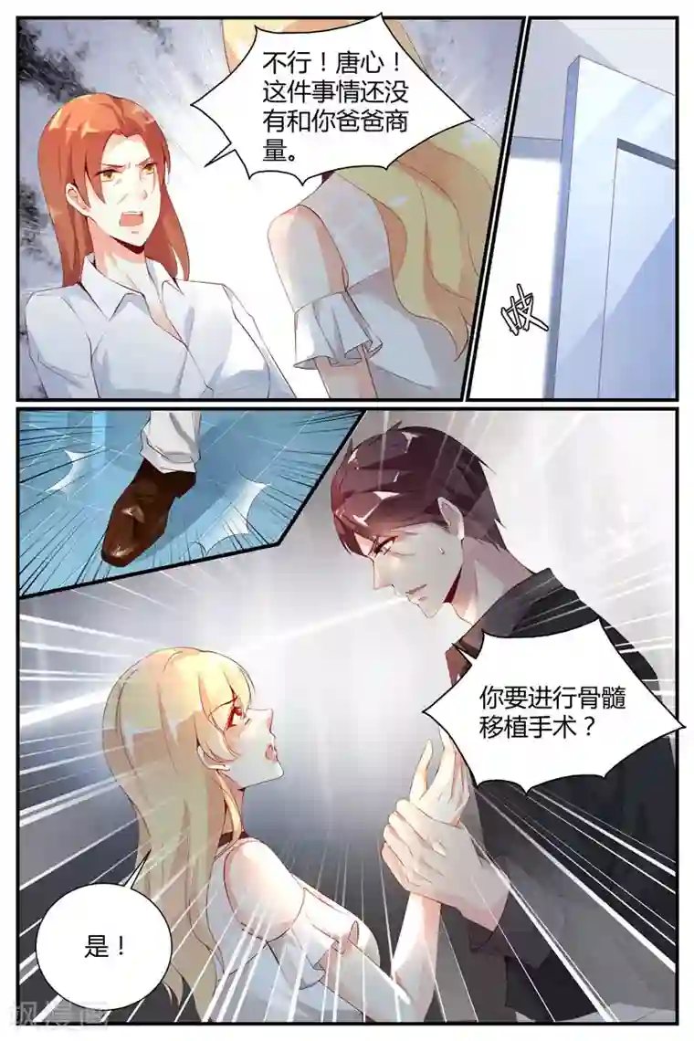 糖枫树的情书第26话