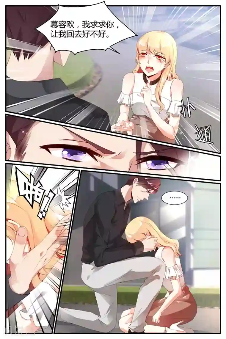 糖枫树的情书第26话