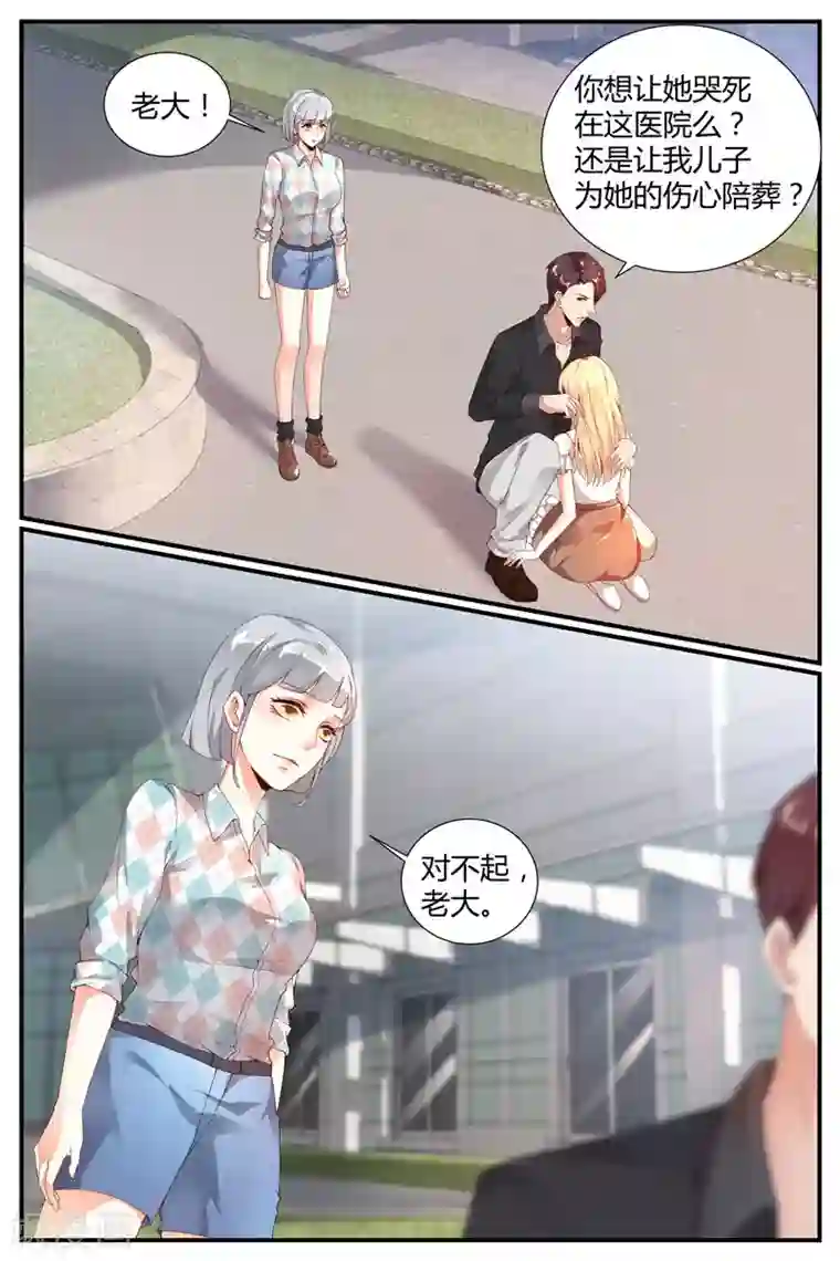 糖枫树的情书第26话