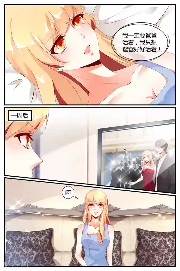 糖枫树的情书第28话