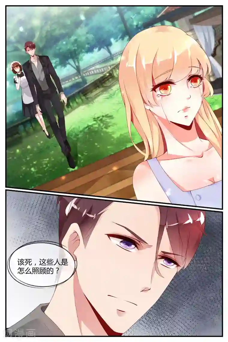 糖枫树的情书第29话