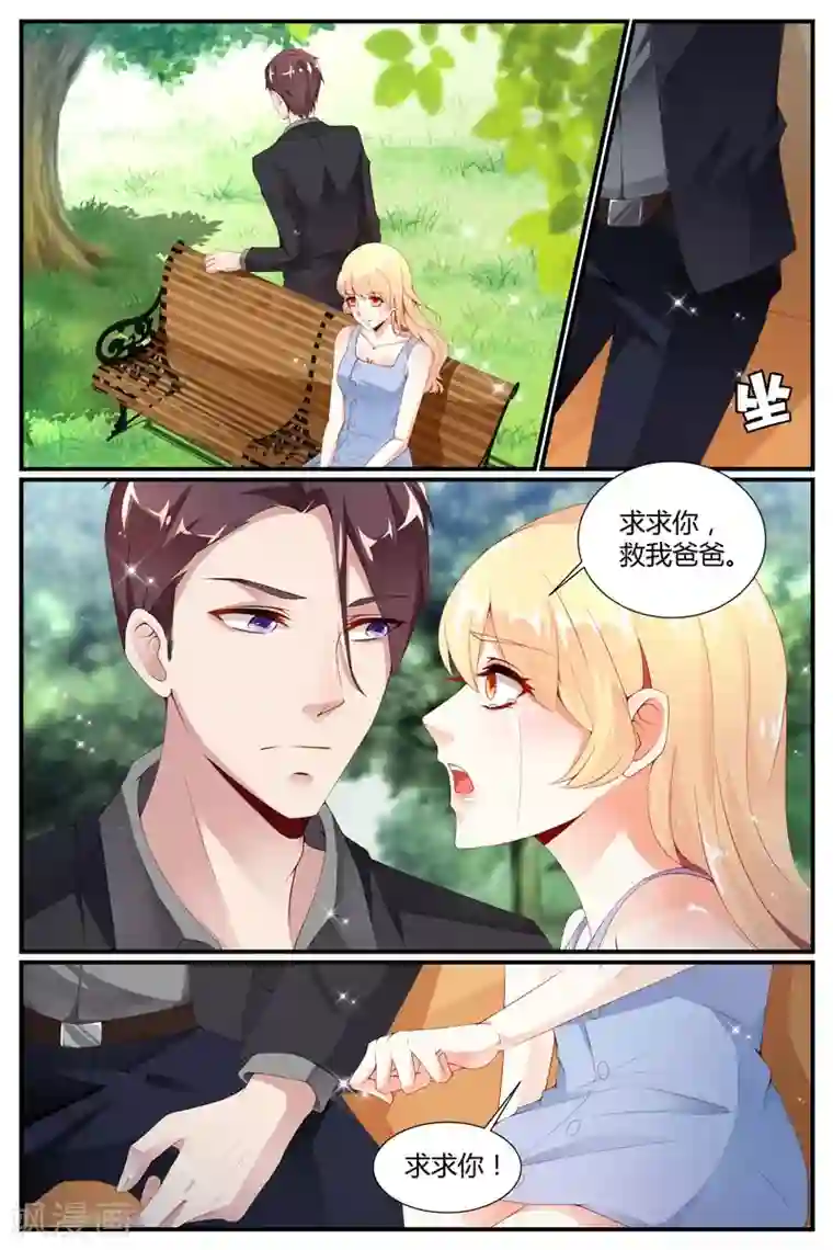 糖枫树的情书第29话