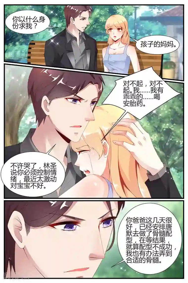 糖枫树的情书第29话
