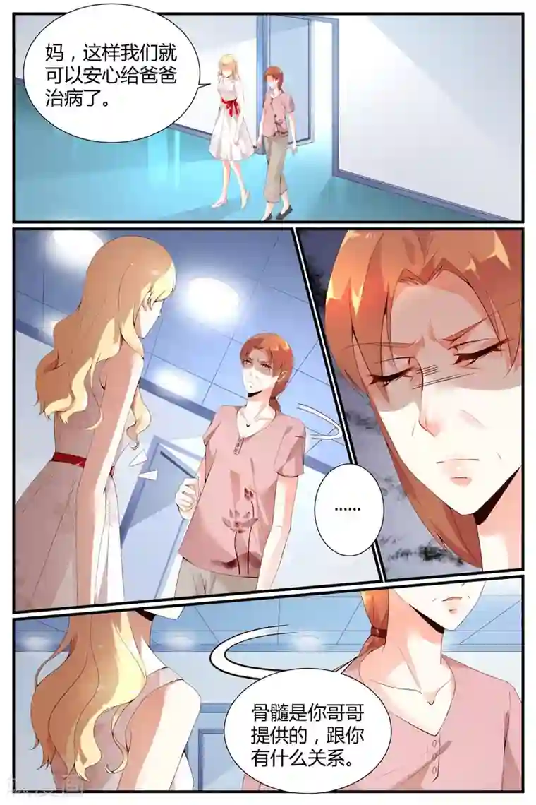 糖枫树的情书第30话