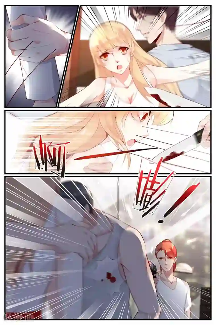 糖枫树的情书第31话