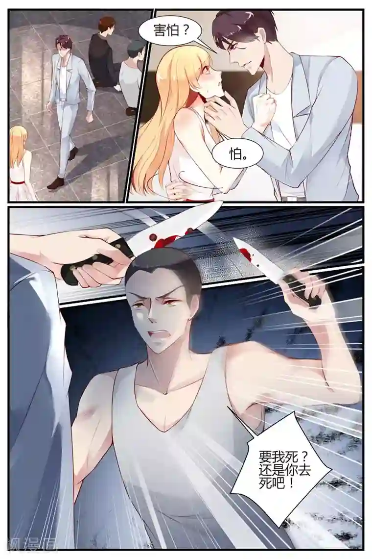 糖枫树的情书第31话