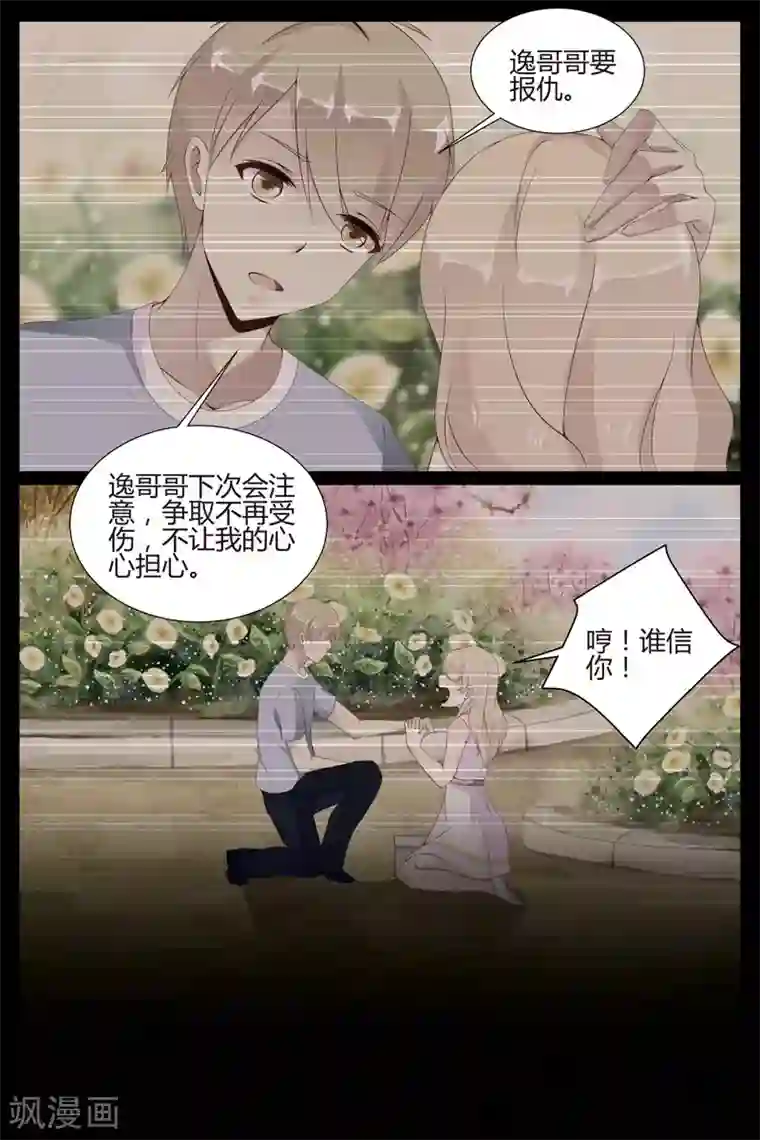 糖枫树的情书第37话